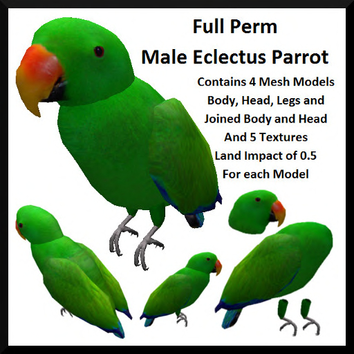 Second Life Marketplace Full Perm Male Eclectus Parrot
